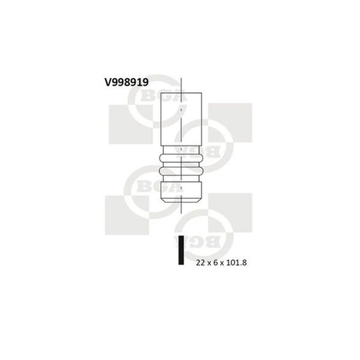 BGA Engine Exhaust Valve 22mm Head V998919