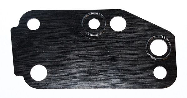 Elring Water Pump Gasket  Wide Thick 030.671