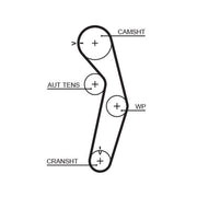 Gates Timing Belt Cambelt 116 Teeth 5441XS
