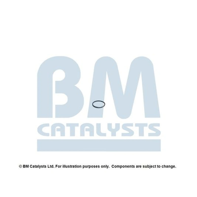 BM Catalysts Fitting Kit FK11666A FK11666A