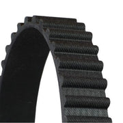 Continental CTAM Timing Belt Cambelt 104 Teeth CT558