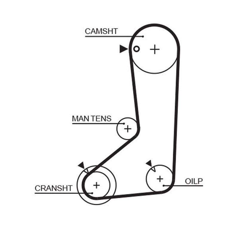 Gates Timing Belt Cambelt 123 Teeth 5254XS
