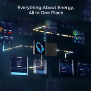 Renogy RENOGY ONE M1 - Dyna-mo Solar - Van Life Living