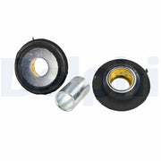 Delphi Wishbone / Control / Trailing Arm Bush TD2129W