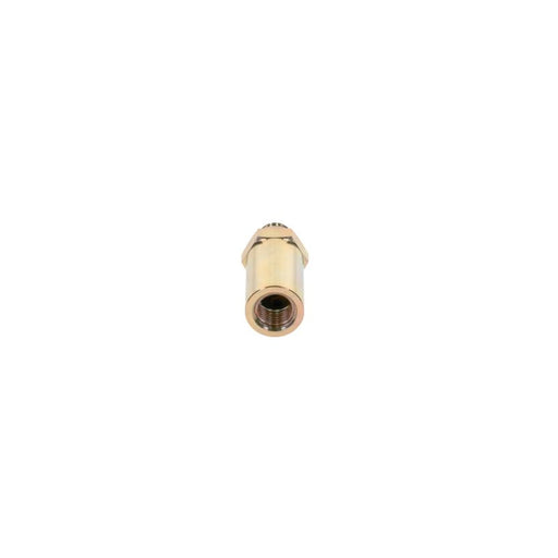 Bosch Fuel Injection Control Valve 2 417 413 107