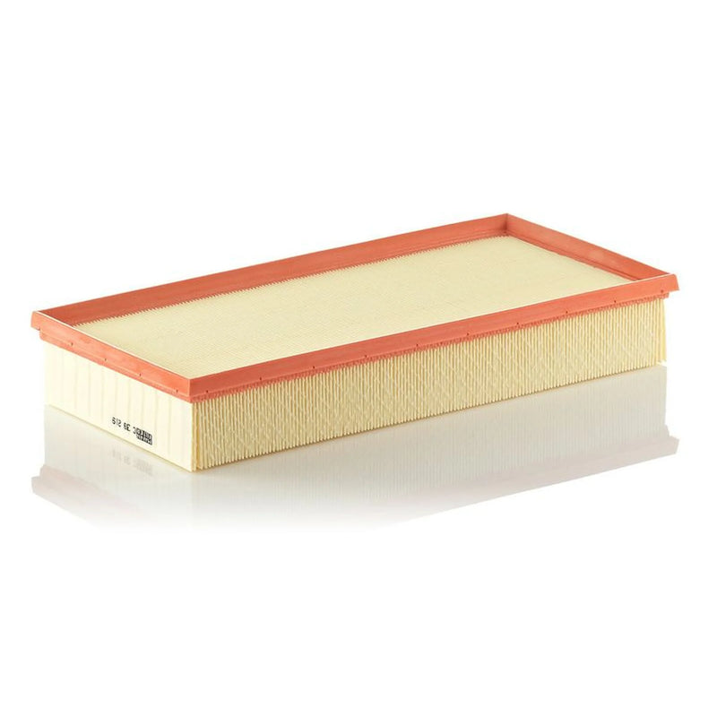 MANN-FILTER Engine Air Filter C 39 219