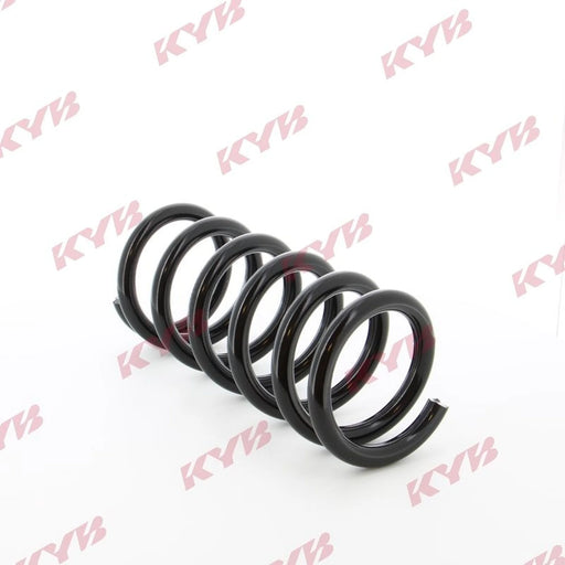 KYB Rear Suspension Coil Spring RG5006
