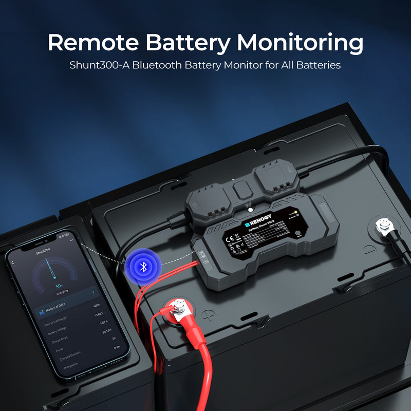Renogy Renogy Battery Shunt 300 - Dyna-mo Solar - Van Life Living