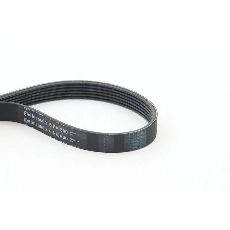 Continental CTAM Multi V-Ribbed Drive Belt 6PK800