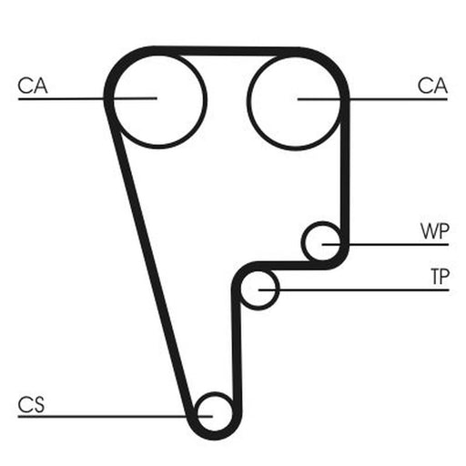 Continental CTAM Timing Belt Cambelt 125 Teeth CT1006