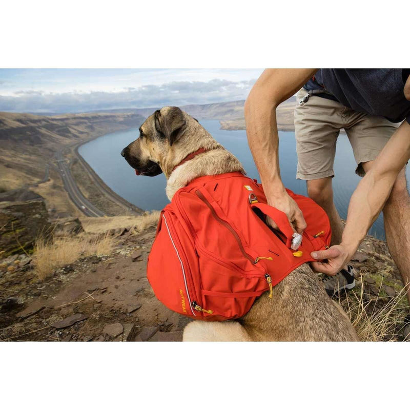 Ruffwear Palisades Dog Backpack in Red Sumac (L / XL) - Ruffwear - Van Life Living