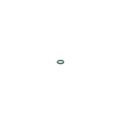 Bosch Sealing Ring Gasket 1 260 210 889