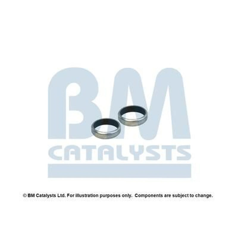 BM Catalysts Exhaust Pipe Mounting Kit FK70317A