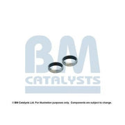 BM Catalysts Exhaust Pipe Mounting Kit FK70319A
