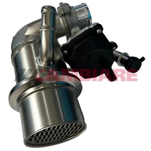 Cambiare EGR Exhaust Gas Recirculation Module VE360433