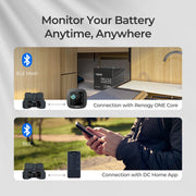 Renogy Renogy Battery Shunt 300 - Dyna-mo Solar - Van Life Living
