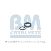 BM Catalysts Fitting Kit FK90596A FK90596A