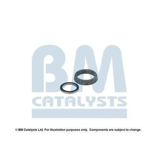 BM Catalysts Fitting Kit FK90596A FK90596A