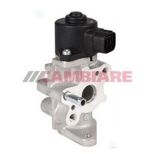 Cambiare Exhaust Gas Recirculation Valve VE360366