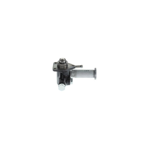 Bosch Fuel Pump Assembly H 105 210 456