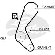Gates Timing Belt Cambelt 134 Teeth 5525XS