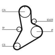 Continental CTAM Timing Belt Kit with Rollers CT989K1