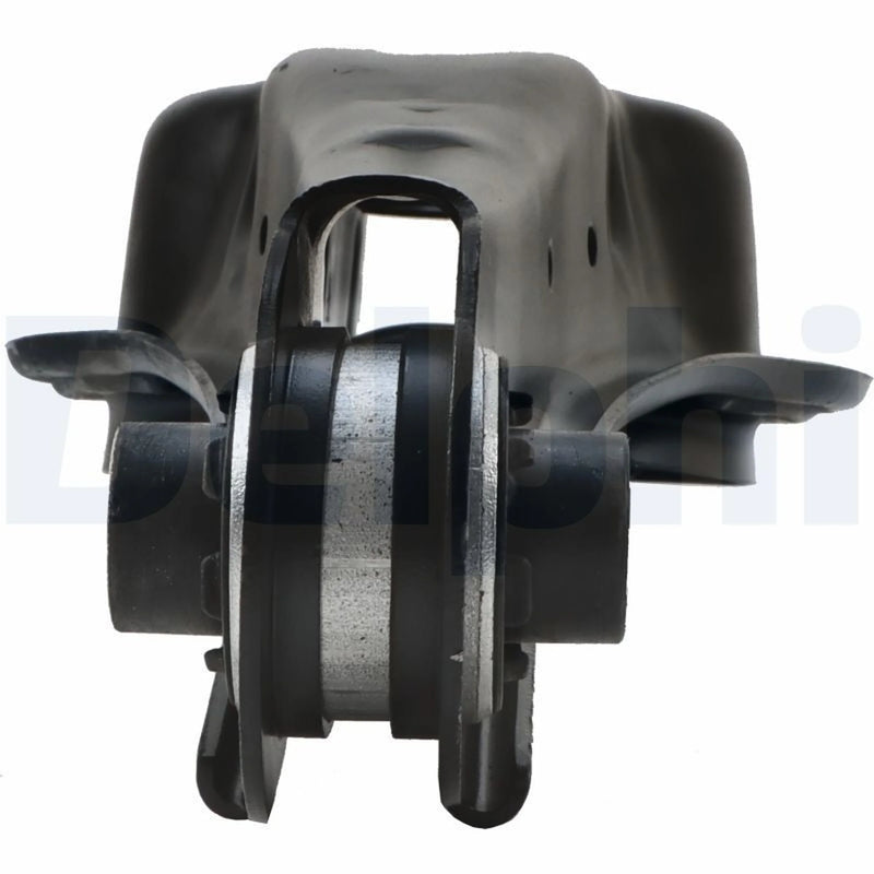 Delphi Control/Trailing Arm Rear TC3840