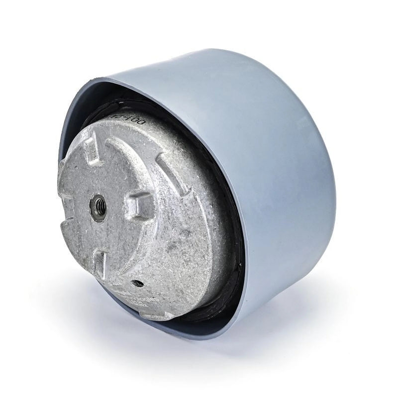 Delphi Engine Mount Mounting Front TEM202