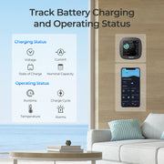 Renogy Renogy Battery Shunt 300 - Dyna-mo Solar - Van Life Living