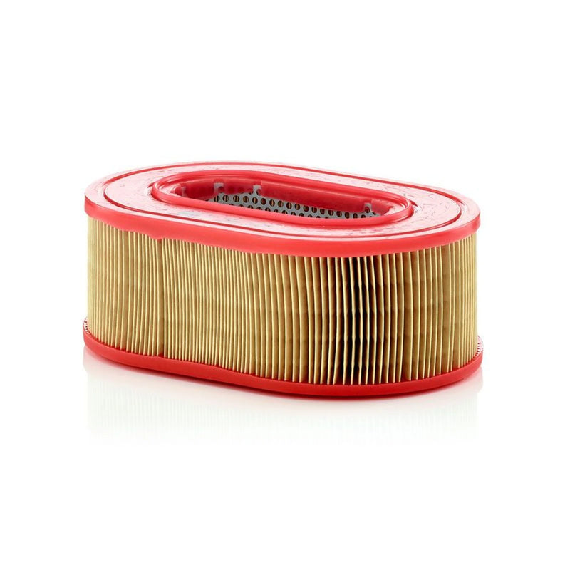 MANN-FILTER Engine Air Filter C 25 124