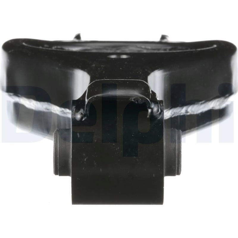 Delphi Control/Trailing Arm Lower TC6110
