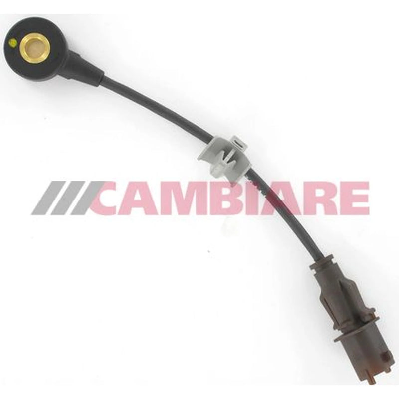 Cambiare Engine Knock Sensor VE369161