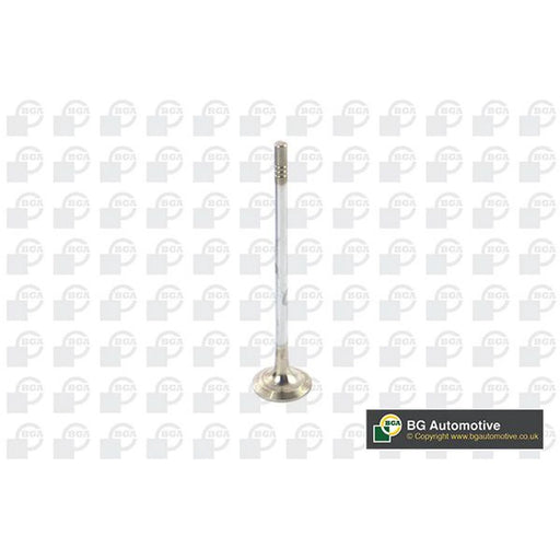 BGA Engine Exhaust Valve 23mm Head V799602