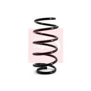 Apec Front Suspension Coil Spring ACS1092