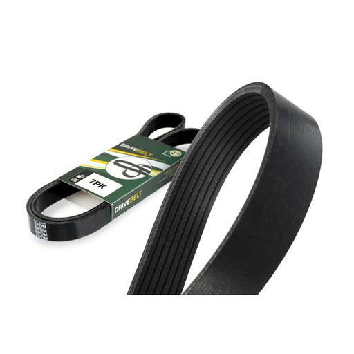 BGA Multi V-Ribbed Drive Belt 7PK1165E