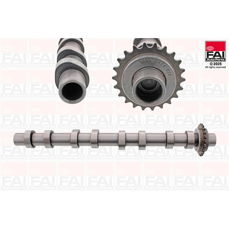 FAI Engine Camshaft Lobes C619