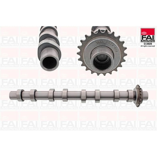 FAI Engine Camshaft Lobes C619