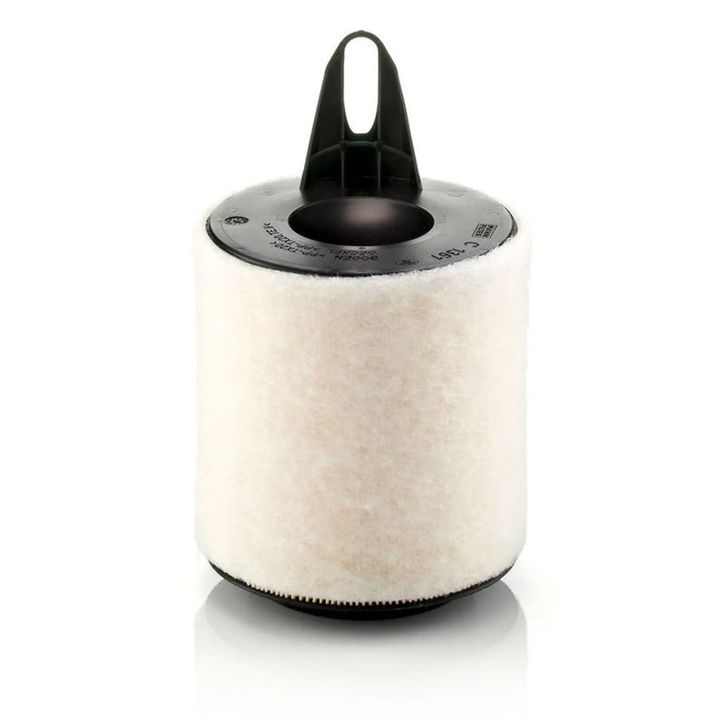 MANN-FILTER Engine Air Filter C 1361