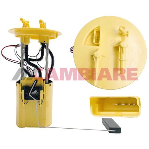 Cambiare Fuel Tank Sender Unit VE523999