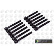 BGA Cylinder Head Bolt Set M12 BK6397