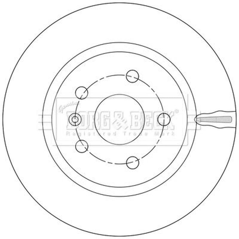 Borg & Beck 2 x Rear Brake Discs BBD5552-x2