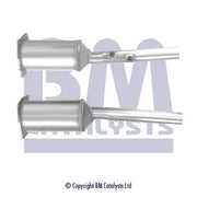 BM Catalysts Dpf BM11318