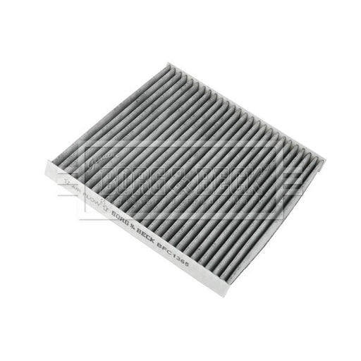 Borg & Beck Cabin Air Filter (Pollen Filter) BFC1365