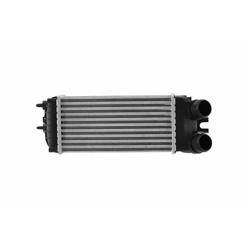 Hella Intercooler (Charge Air Cooler) 8ML 366 471-011