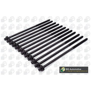 BGA Cylinder Head Bolt Set M11 BK3332