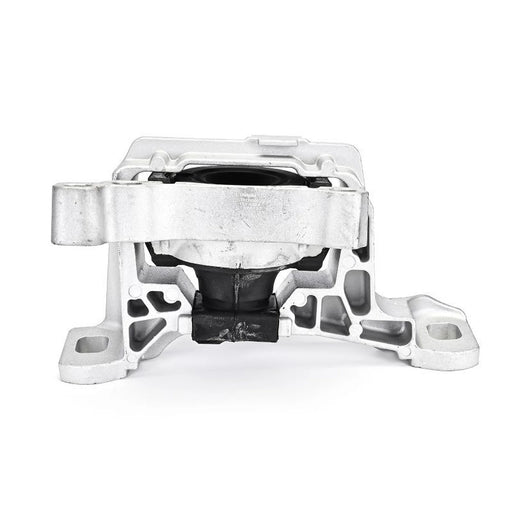 Delphi Engine Mount Mounting Right TEM137