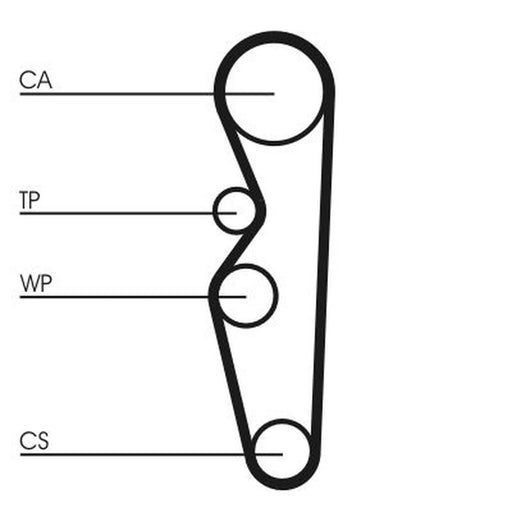 Continental CTAM Timing Belt Cambelt 97 Teeth CT576