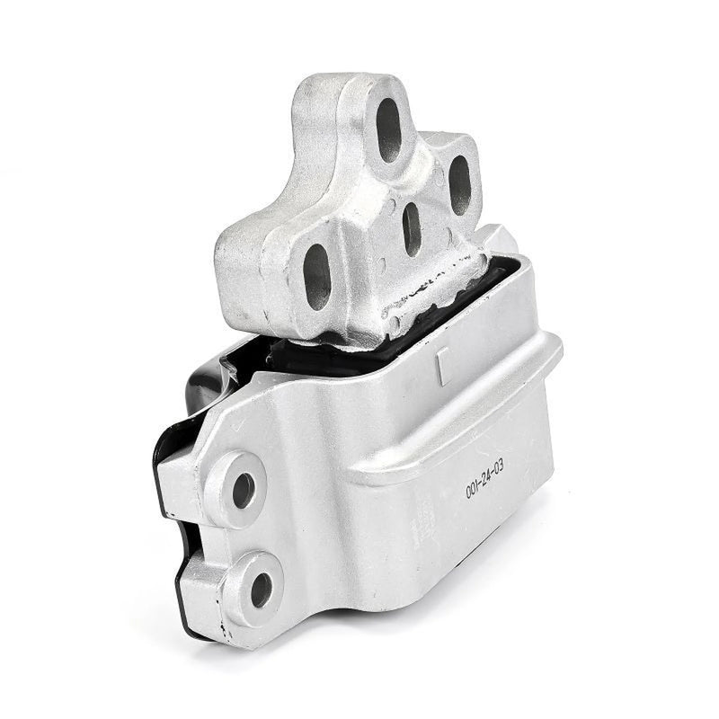 Delphi Engine Mount Mounting Left TEM256