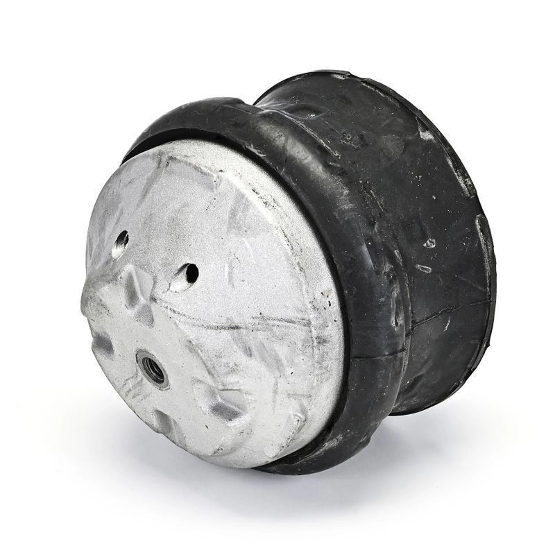 Delphi Engine Mount Mounting Front TEM132