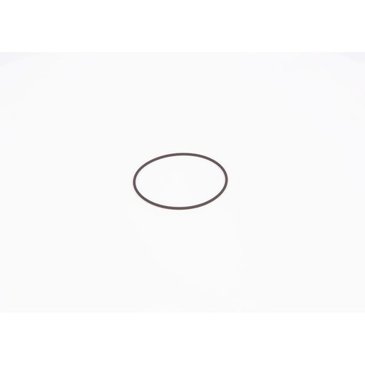Bosch Sealing Ring Gasket F 01M 100 371
